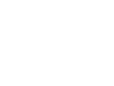 datasonic-1